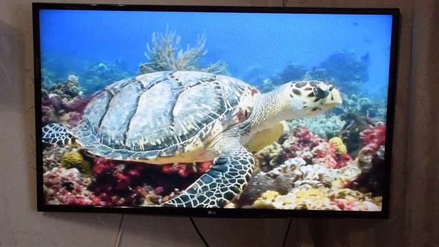Телевизор LED LG 43UK6450 черный | 4K Телевизор смотреть онлайн