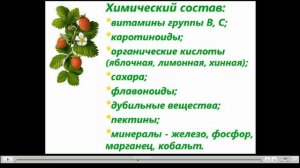 Земляника Полезные свойства