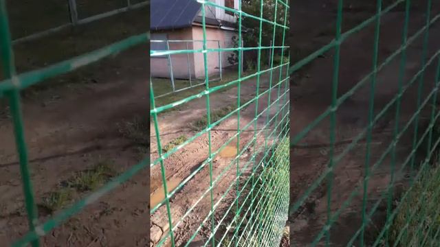Заборная сетка стеклопластиковая – видеоотзыв смотреть онлайн
