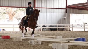 Cavaletti Training for Horses with Erika Jansson, Dressage Trainer