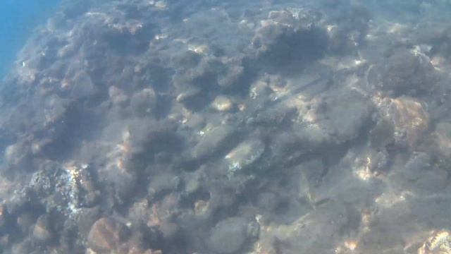 Рыба-свистулька 20:19 смотреть онлайн