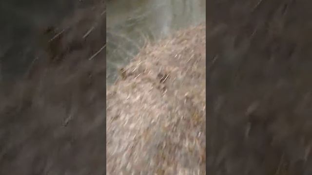 Рыбалка.речка сходня.поймал головля смотреть онлайн