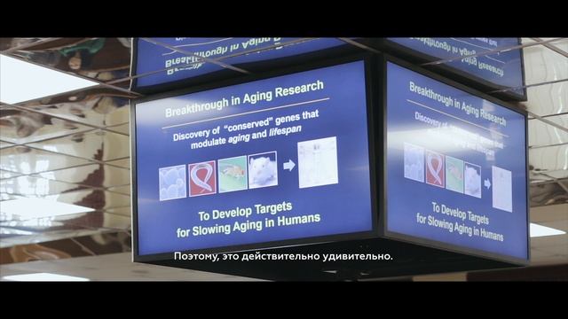 Конференция POSTGENOME 2017 смотреть онлайн