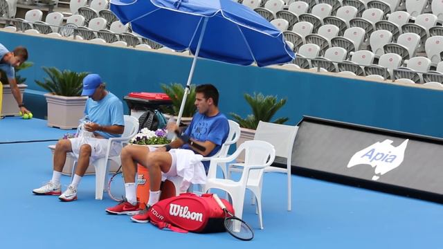 Juan Martin Del Potro is back! Apia International Sydney 2015 смотреть онлайн