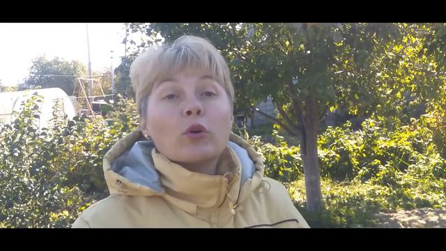 Земляника с хризантемами и погода внесла свои коррективы смотреть онлайн