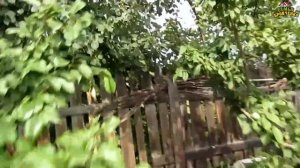 Семья Бровченко. Поездка в Иркутск - Покупки, кружки, у друзей на даче (часть 1) (08.15г.)