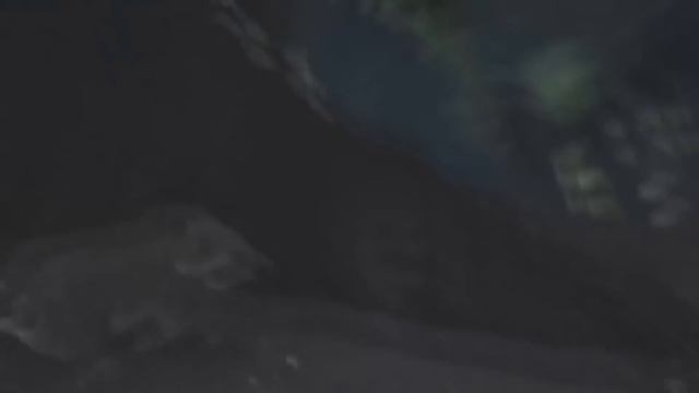 Станислав Дробышевский - Происхождение человека смотреть онлайн