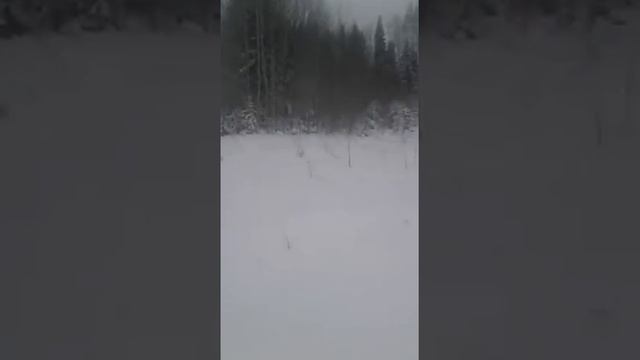 елки.онлайн Санкт-Петербург смотреть онлайн