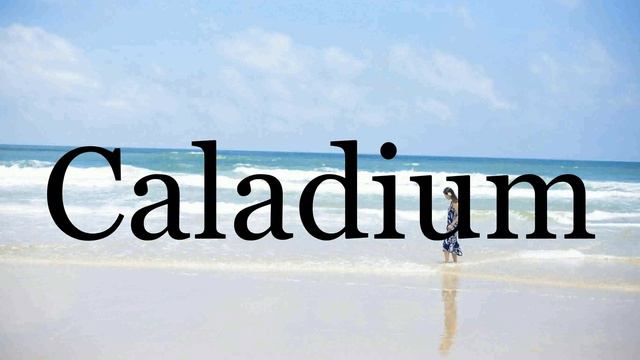 How To Pronounce Caladium🌈🌈🌈🌈🌈🌈Pronunciation Of Caladium смотреть онлайн