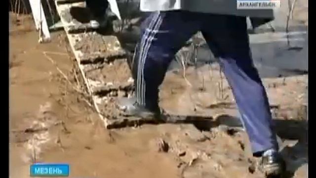 В Мезени пассажирам теплохода приходится добираться до судна по колено в грязи смотреть онлайн