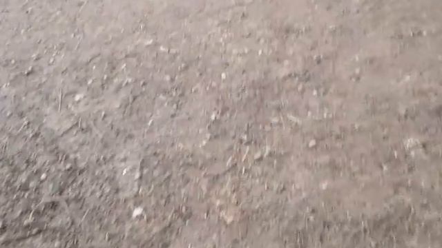 Что внутри домика на дереве.Обзор для юной зрительницы Танюши.?❤ и много гусей...? смотреть онлайн