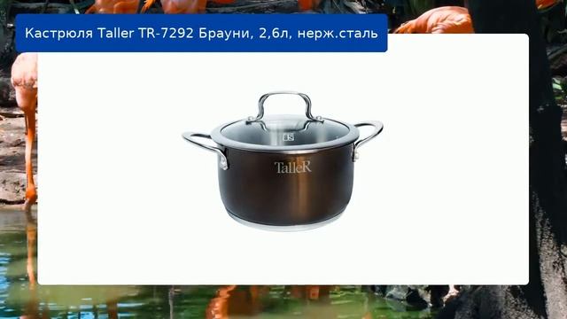 Кастрюля Taller TR-7292 Брауни, 2,6л, нерж.сталь смотреть онлайн