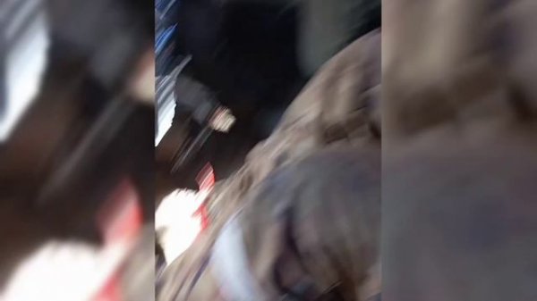 VЕЖЛИВЫЕ ЛЮДИ