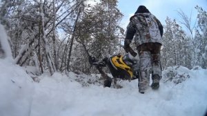 BRP Ski-doo Skandic 550f. Утренние покатушки с гимнастикой.