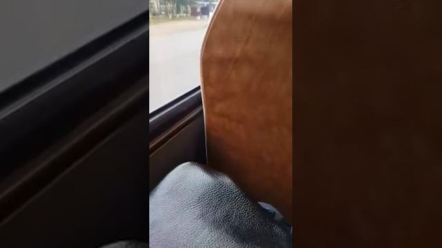 ДПС в Кирове штрафует весь автобус за не пристёгнутые ремни.