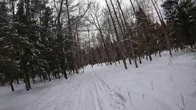 Лыжная прогулка в Лосином острове. Лыжная прогулка март 2023 смотреть онлайн