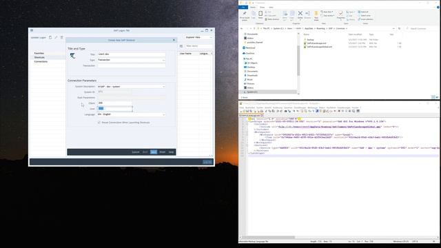 SAPGUI - Connections and Shortcuts - Faster Login in SAP [english] смотреть онлайн