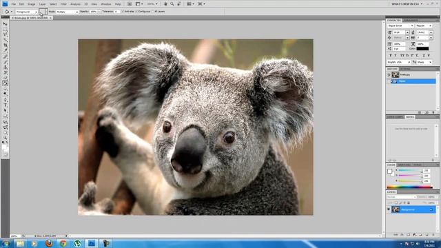 How to Rotate Any Image in Photoshop? смотреть онлайн