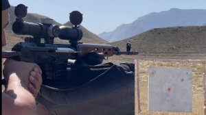 СВД / Тигр 7.62х54. Краткий обзор и серия на 300 и 500м.