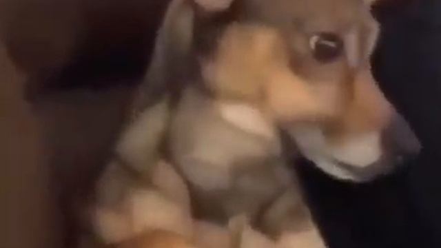Чур меня смотреть онлайн