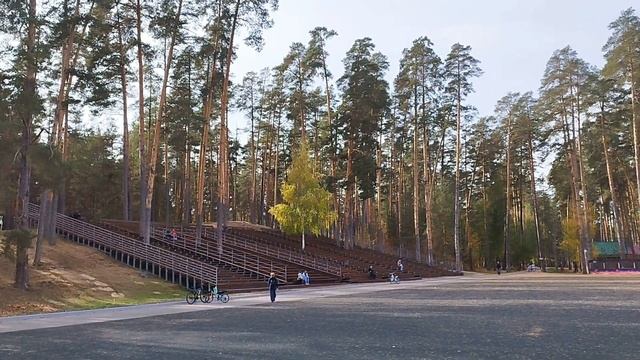 Покажу осенние пейзажи в лесопарке Лебяжье снятые 30 сентября 2023 г. Красивый лес, озеро в видео. смотреть онлайн
