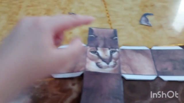 How To Make A Floppa Cube! (Roblox Raise A Floppa Irl) #floppa #howto #tutorial #howtomake #roblox