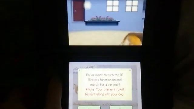 Nintendogs:My Collection,Best Friends Version, and Bark Mode with my Main Dogs!! READ DESC MORE INF смотреть онлайн