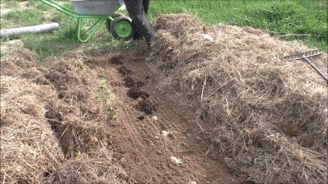 Как рушатся планы. Огород на конец мая 2019 смотреть онлайн