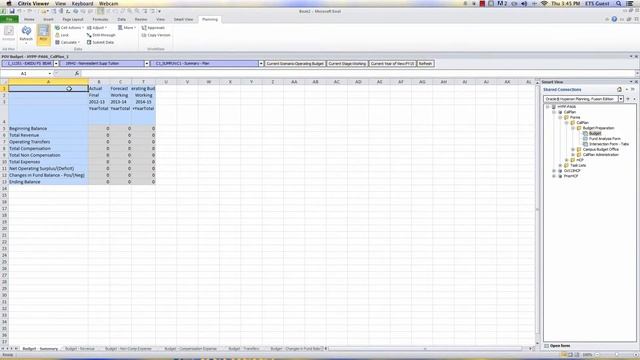 CalPlanning Smart View: “Analyze” Function as a Starting Point for Queries смотреть онлайн