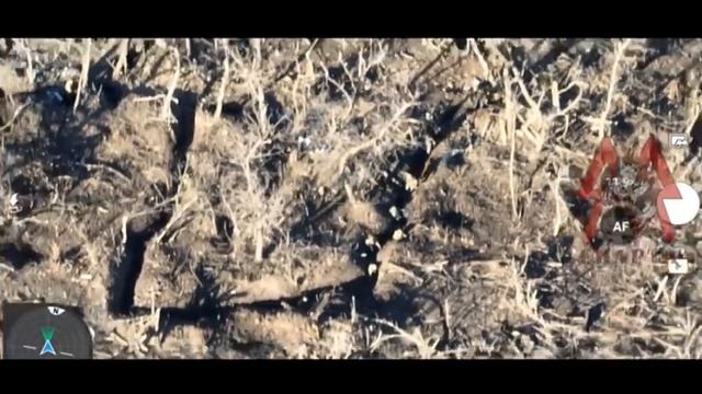 欧米軍(アメリカ+NATO)が敗北して戦闘地から逃げる様子 смотреть онлайн