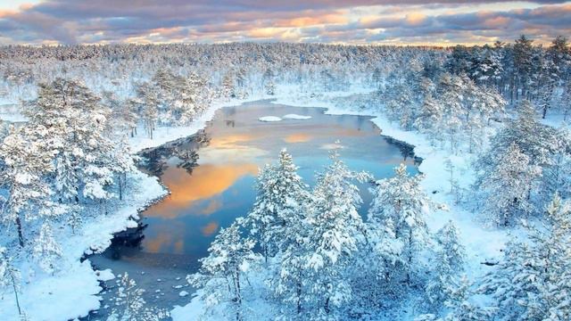 772. ♫..Муслим Магомаев - "Твои следы" (1975) смотреть онлайн