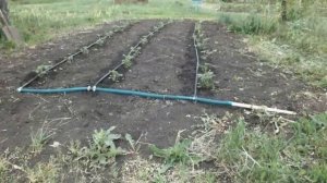 Капельный Полив. Набор Для Капельного Полива