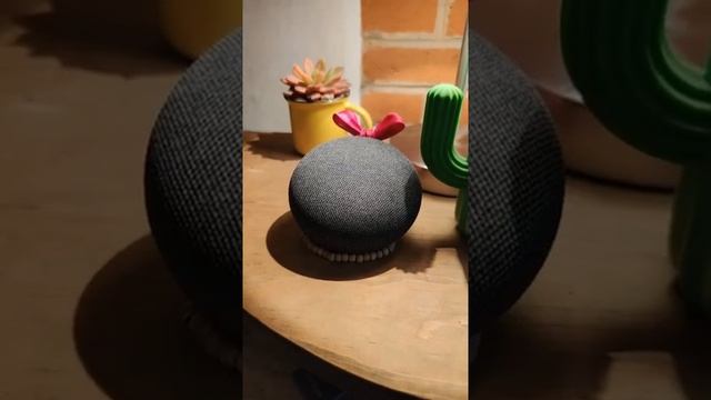 google home mine #google home mini #yotubeshort смотреть онлайн