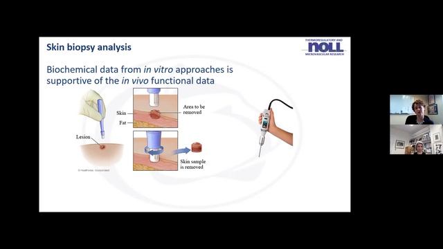 Methods to Assess Blood Pressure Regulation in Humans and Animal Models | Workshop смотреть онлайн