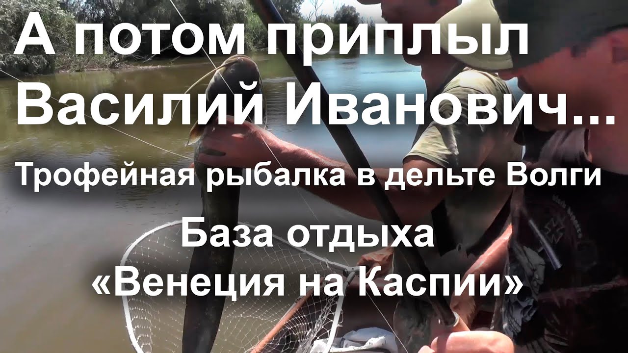 А потом приплыл Василий Иванович... смотреть онлайн