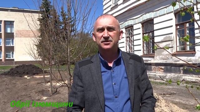 Садят новые деревья вместо спиленных елей) город Изюм. Центральная площадь смотреть онлайн