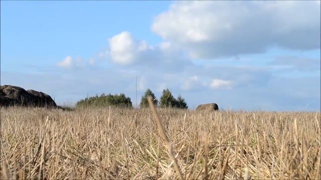Воздушный змей Городской Фантом 2