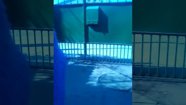 Скрытая камера 1