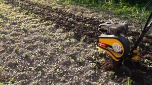 texas tx 601. Рыхление картофеля и борьба с травой