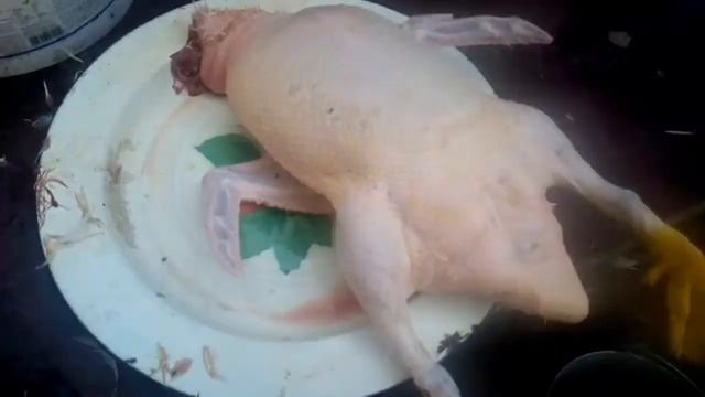 Утки Черри Велли 61 день. Ощип и Взвешивание.