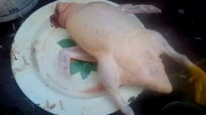 Утки Черри Велли 61 день. Ощип и Взвешивание.