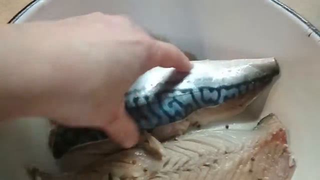 СКУМБРИЯ МАЛОСОЛЬНАЯ смотреть онлайн