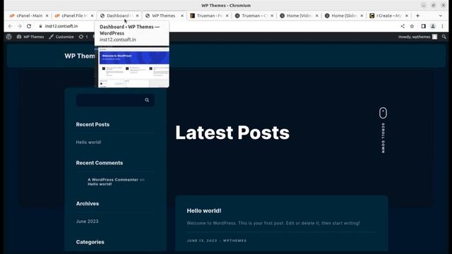 Personal Portfolio Website | Best Modern Unique CV Resume Website Template | Trueman WordPress Them смотреть онлайн
