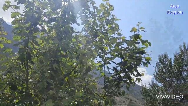 Шохимардон 2022 Июнь." Танхо " Дам олиш маскани. Shohimardon 2022 iyun." Tanho " Dam olish maskani. смотреть онлайн