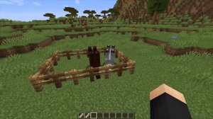 MINECRAFT ПАСХАЛКИ С БИРКАМИ