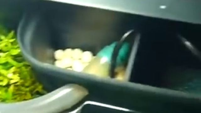 Internal stage filter with flute aeration system смотреть онлайн