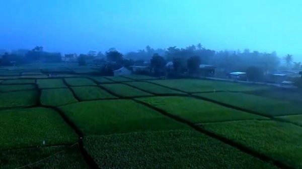 Relaxing Music For Stress Relief  Sound Sleep, Meditate, Relax, Relief Pain