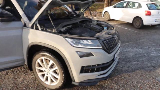 Škoda Kodiaq 2.0 TDI 4x4 2021 -7-sits , moms kvar смотреть онлайн