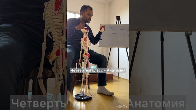 Один день из жизни студента Yoga Vidya School в Ришикеше.