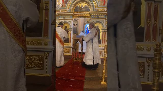 Божественная Литургия.Прямая трансляция.22 января 2024 года смотреть онлайн